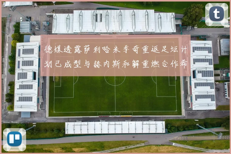 德媒透露萨利哈米季奇重返足坛计划已成型与赫内斯和解重燃合作希望