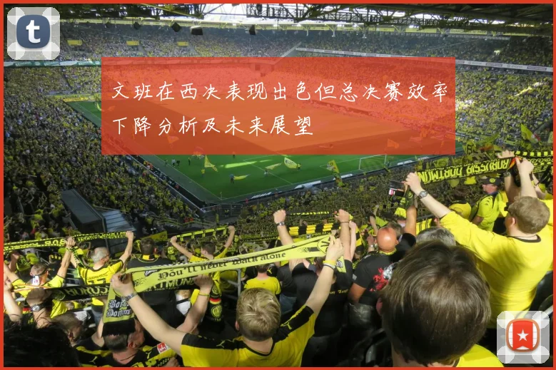 文班在西决表现出色但总决赛效率下降分析及未来展望